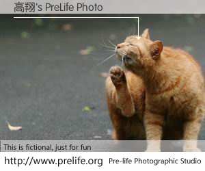 高翔's PreLife Photo