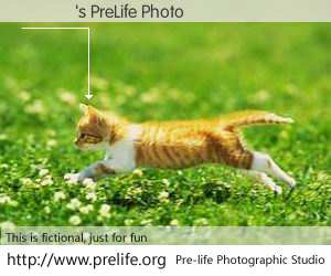 ��֪'s PreLife Photo