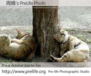 周峰's PreLife Photo