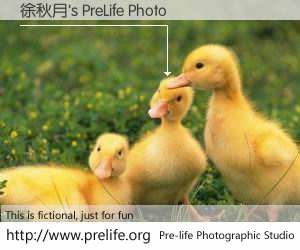 徐秋月's PreLife Photo