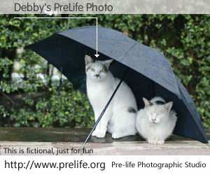 Debby's PreLife Photo