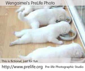 Wengaimei's PreLife Photo