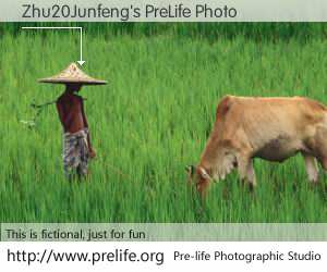 Zhu20Junfeng's PreLife Photo
