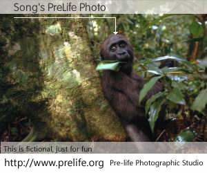 Song's PreLife Photo