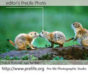 editor's PreLife Photo