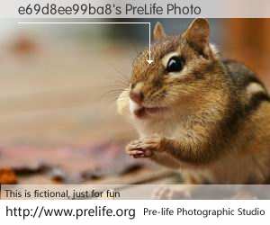 e69d8ee99ba8's PreLife Photo