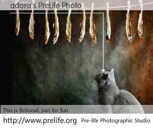adora's PreLife Photo