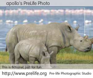 apollo's PreLife Photo