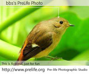 bbs's PreLife Photo