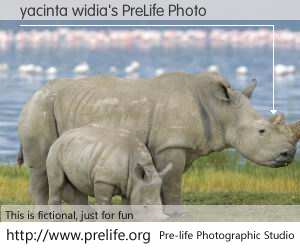 yacinta widia's PreLife Photo