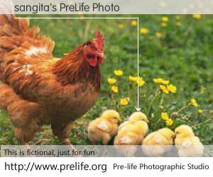 sangita's PreLife Photo