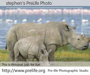 stephen's PreLife Photo