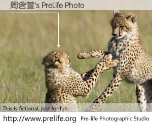 周含萱's PreLife Photo