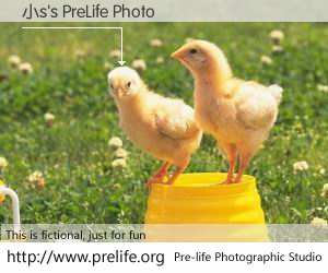 小s's PreLife Photo