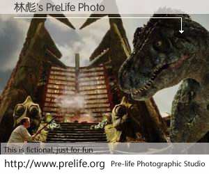 林彪's PreLife Photo