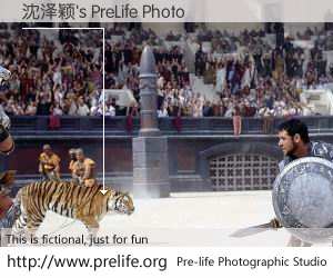 沈泽颖's PreLife Photo