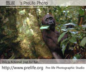 甄淑詩's PreLife Photo