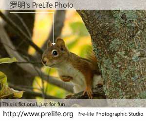 罗明's PreLife Photo