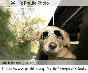 鄧名輝's PreLife Photo
