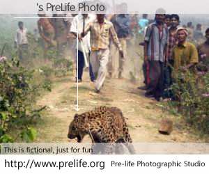 韋遊's PreLife Photo