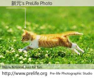 顔新元's PreLife Photo