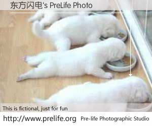 东方闪电's PreLife Photo