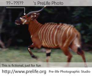 ??-??|??'s PreLife Photo