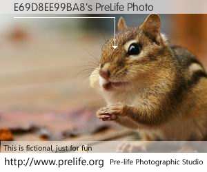 E69D8EE99BA8's PreLife Photo
