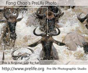 Fang Chao's PreLife Photo