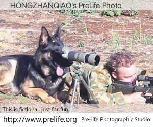 HONGZHANQIAO's PreLife Photo