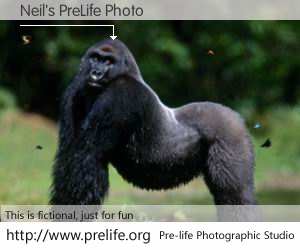 Neil's PreLife Photo