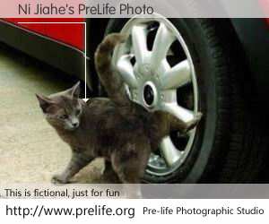 Ni Jiahe's PreLife Photo
