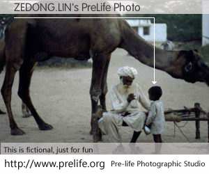 ZEDONG.LIN's PreLife Photo