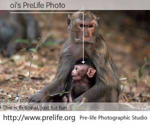 oi's PreLife Photo