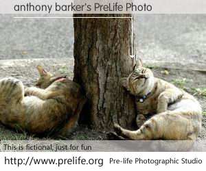 anthony barker's PreLife Photo