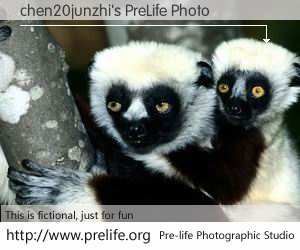 chen20junzhi's PreLife Photo