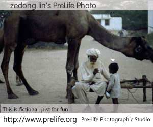 zedong.lin's PreLife Photo