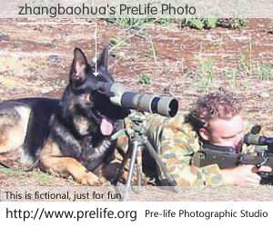 zhangbaohua's PreLife Photo