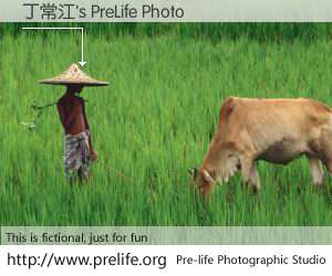 丁常江's PreLife Photo