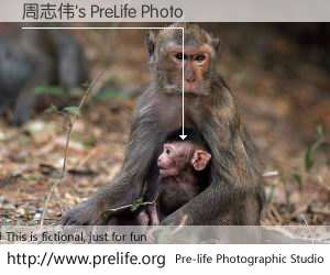 周志伟's PreLife Photo