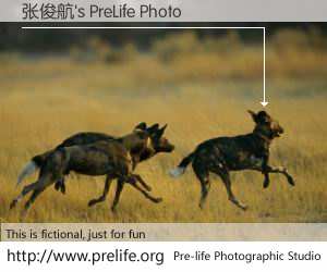 张俊航's PreLife Photo