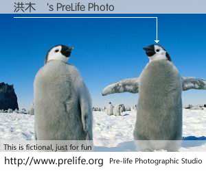 洪木鋆's PreLife Photo