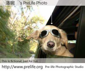 潘婉華's PreLife Photo