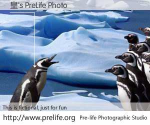 皇's PreLife Photo