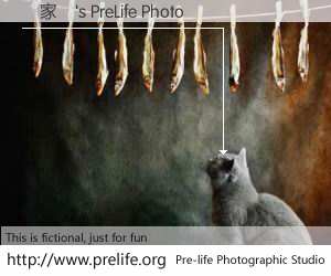 羅家鴨's PreLife Photo