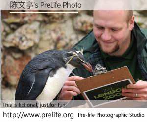 陈文亭's PreLife Photo