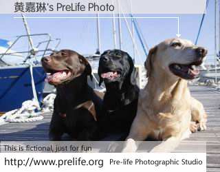 黄嘉琳's PreLife Photo