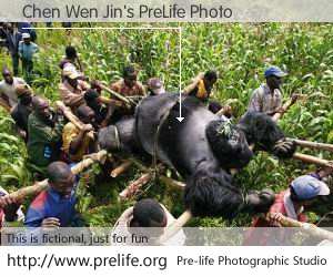 Chen Wen Jin's PreLife Photo