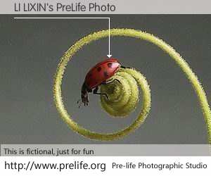 LI LIXIN's PreLife Photo