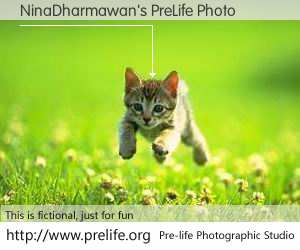 NinaDharmawan's PreLife Photo